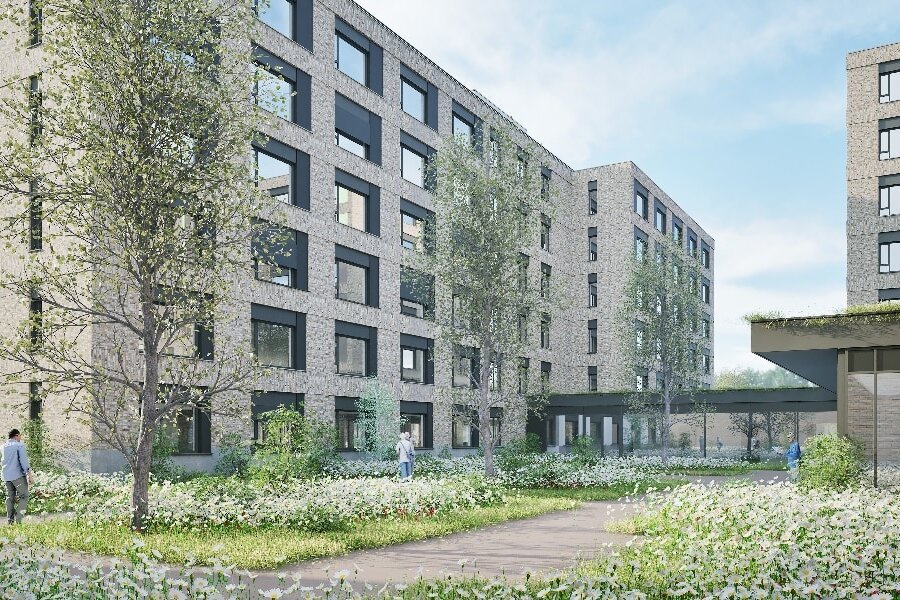 Aafje Meerweide, Rotterdam